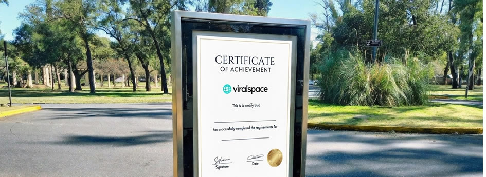 Viralspace affiliate training program